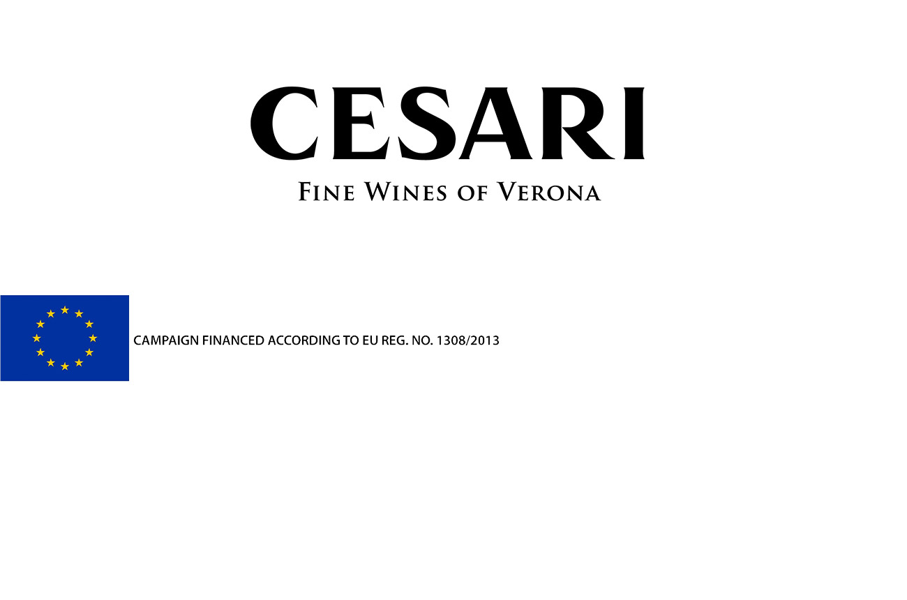 Cesari_footer.jpg