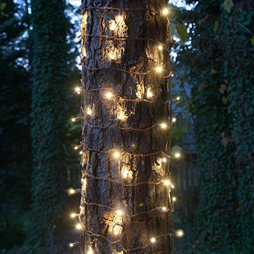 Wintergreen Lighting Warm White Led Tree Trunk Wrap Lights &amp;ndash; 2' X 6' Net Tree Wrap Christmas Lights, Outdoor Holiday Yard Decor, 100 Lights on Brown Wire