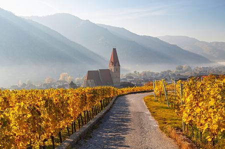Austrian_Vineyards