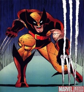Wolverine Maroon