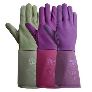 Women's Tuscany Gauntlet Gloves in three colorways