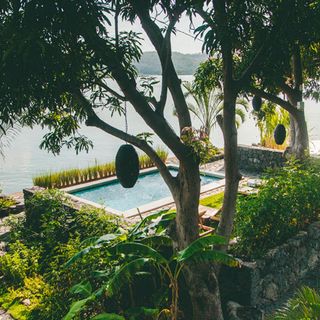 A swimming pool next to the sea, surrounded by green plants.