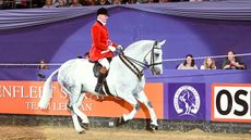 TAYLORS-HERO_HOYS_PN24_173558.jpg
