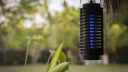 best bug zapper