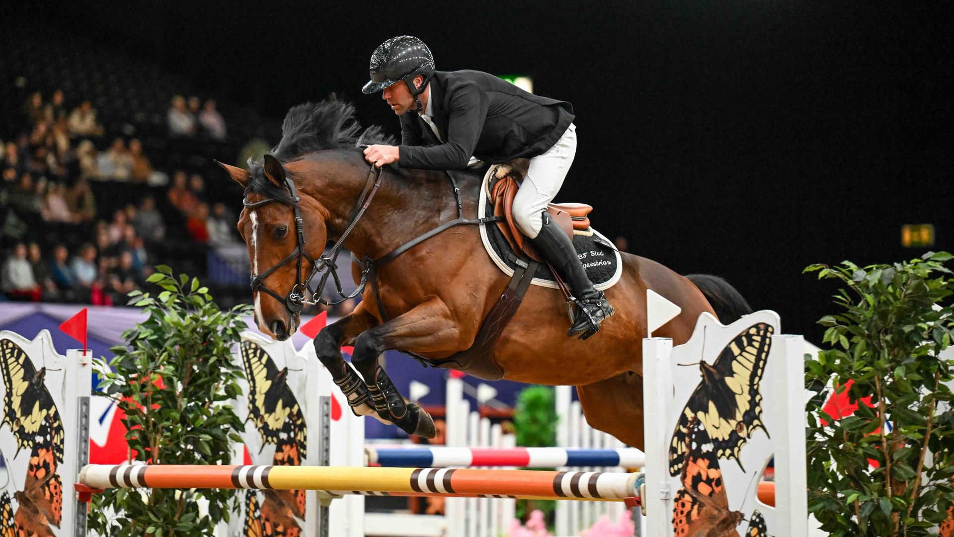 Douglas Duffin wins at HOYS