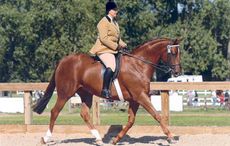 Glen-Clare-2006-competing.jpg