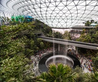 Indoor waterfall surrounded by huge tropical trees and plants and Changi Airport