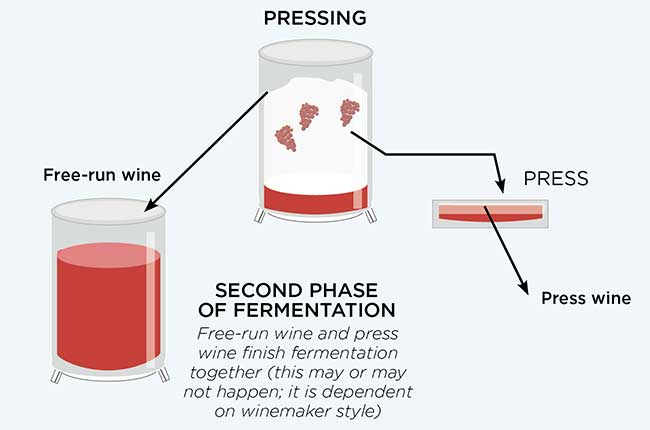 Whole bunch fermentation