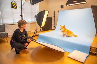 Pet Photography