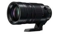 Best 100-400mm lens: Panasonic DG Vario-Elmar 100-400mm f/4-6.3 Asph Power OIS