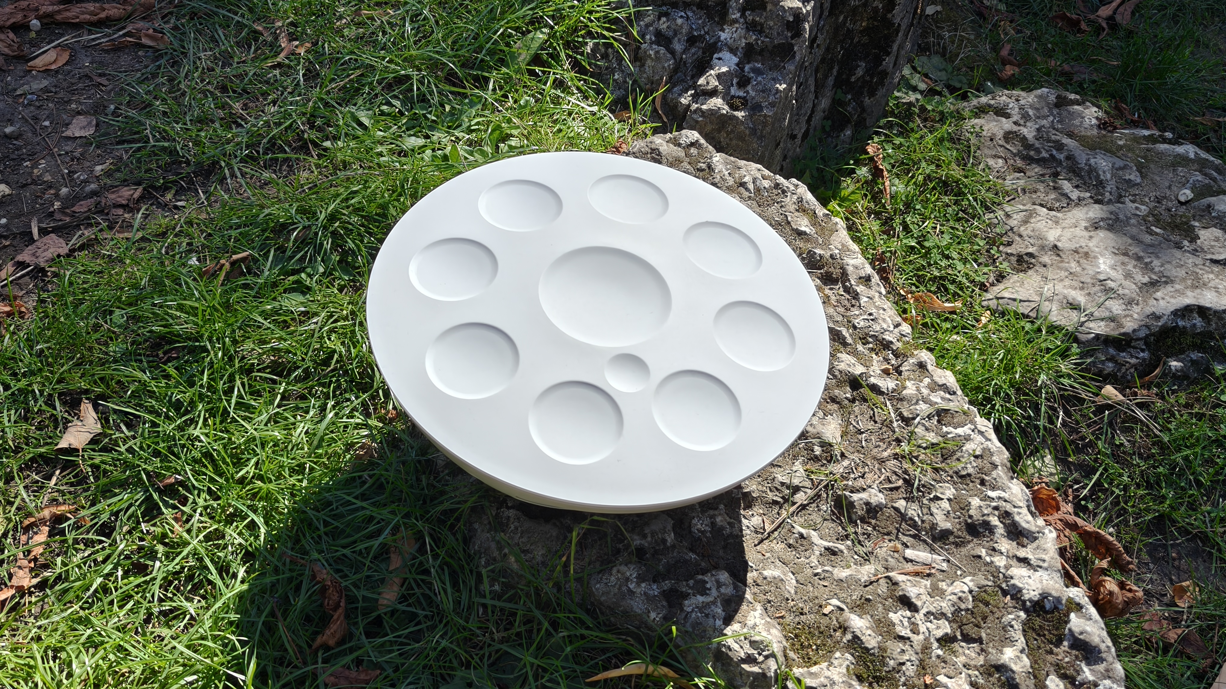 Roland Mood Pan on a mossy rock