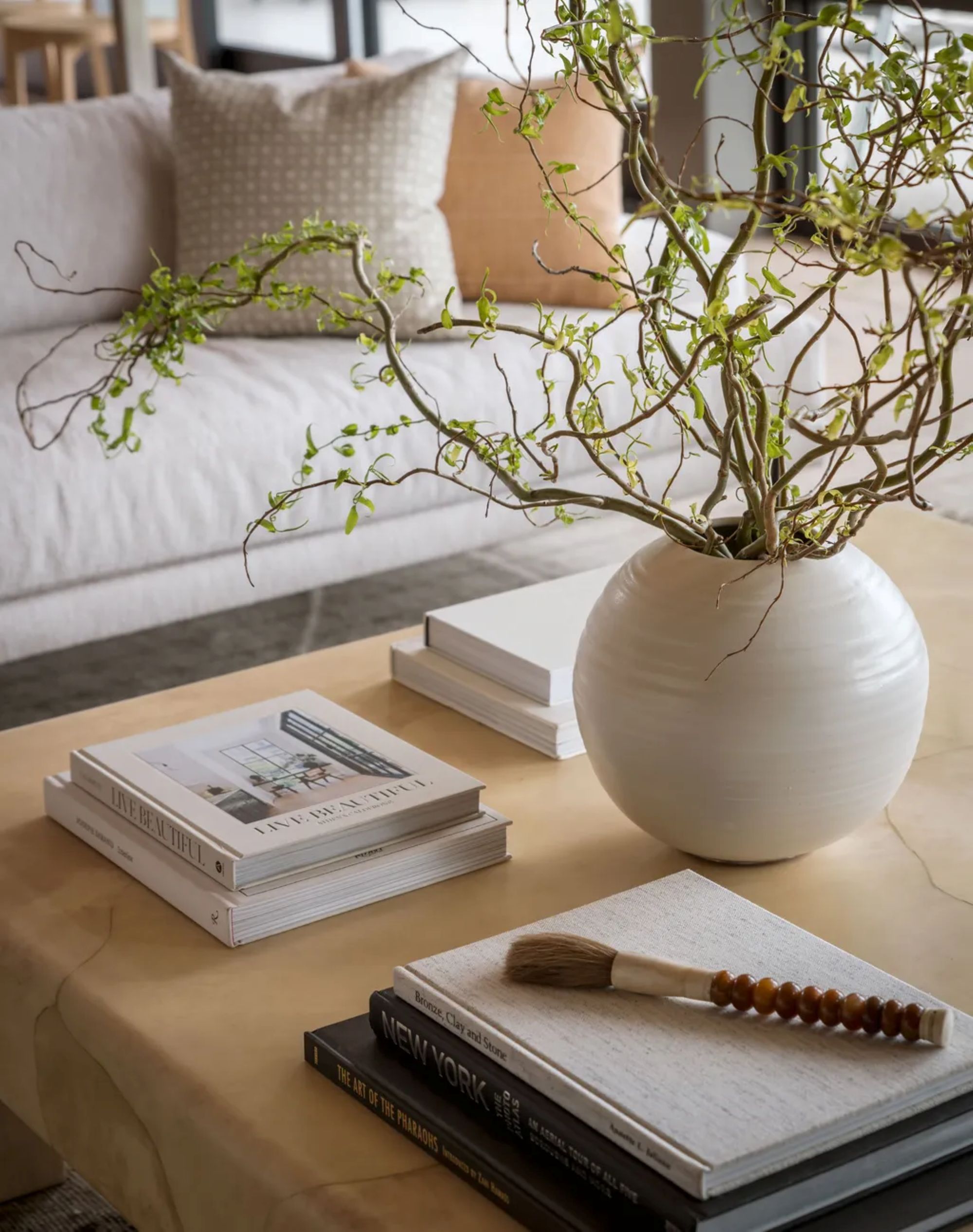 coffee table decor with multiple books and a potted plant