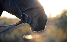 Sinnington-Hunt-03.02.1635856.jpg