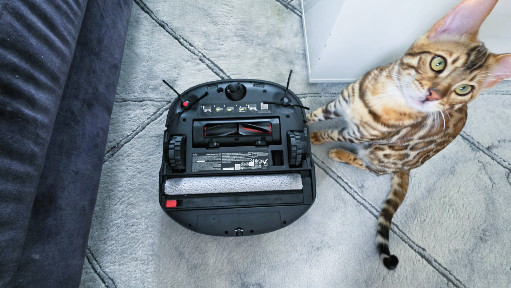 Eufy C28 ligger upp och ned p&amp;aring; en matta, med en bengalkatt som sitter bredvid.