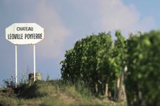 St-Julien 2017 wines