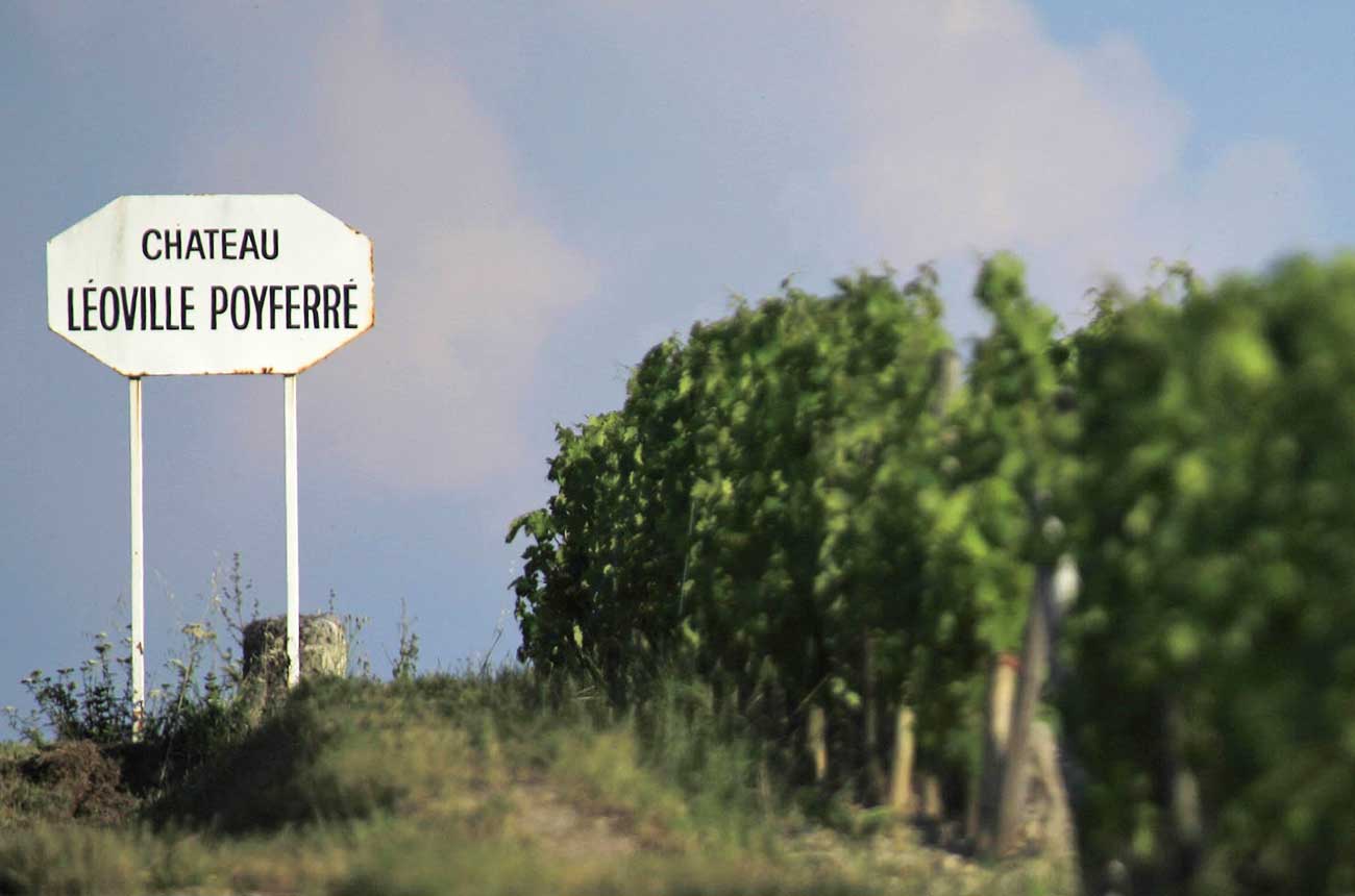 St-Julien 2017 wines