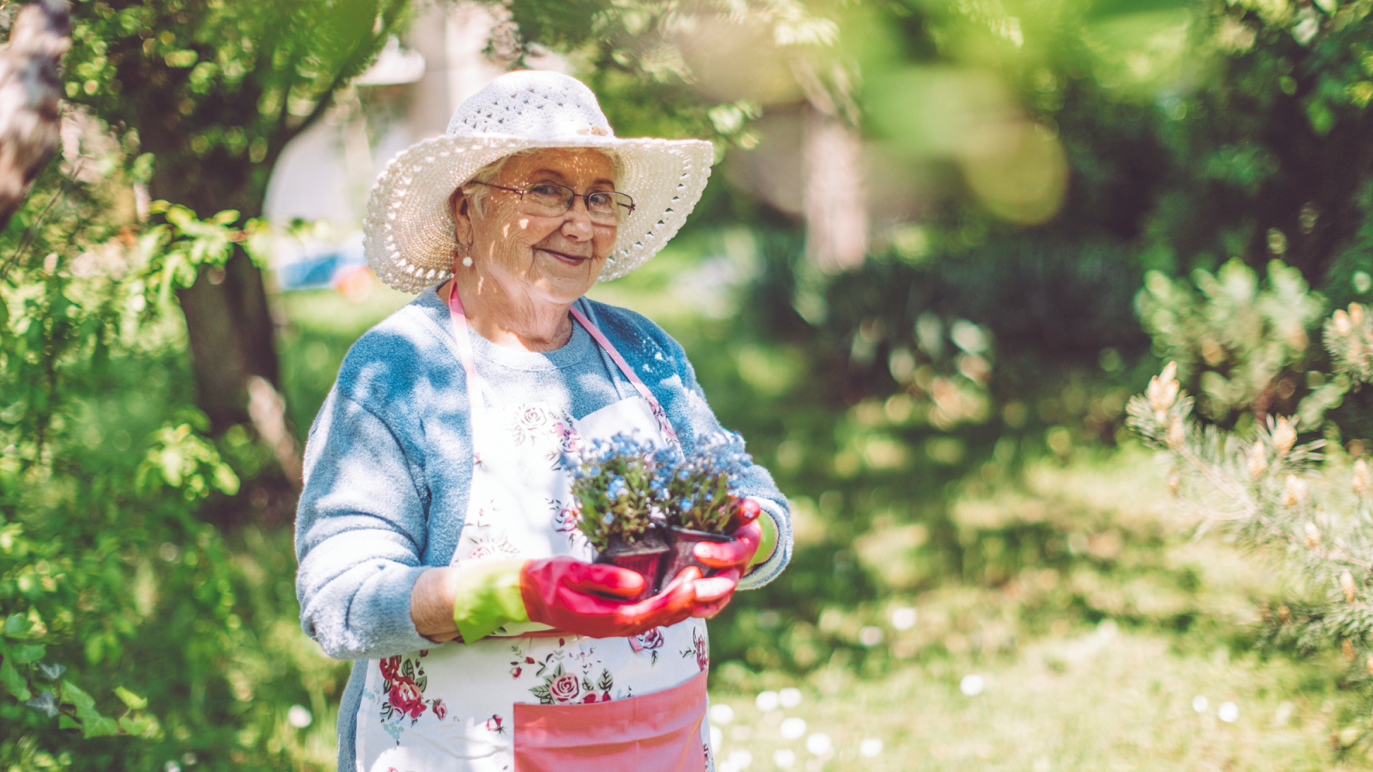 mature woman wearing hat and gardening gloves in garden with scented plants, an icon for the nostalgia garden trend 