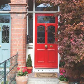 Red painted front door of a terrace house, with plants growing all around the porch