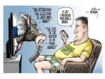 Political cartoon swing voter midterm election