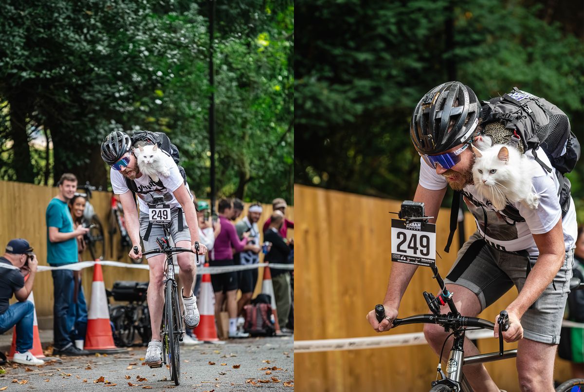 Is this the fastest cat in London? Sigrid and Travis tackle hill