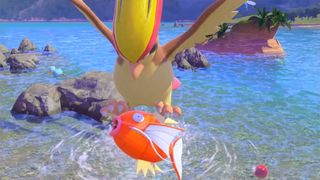 New Pokemon Snap Pidgeotto With Magikarp