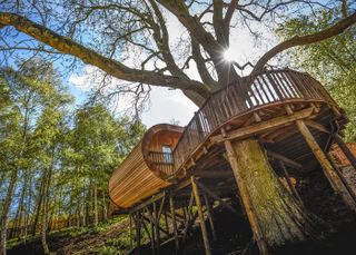 The Treehouse at The Fish Hotel