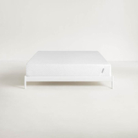 Tuft &amp; Needle 10" Twin Foam Mattress: was $645 now $548 @ Lowes