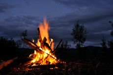 a bonfire in the garden, with the dark sky behind and trees in the background