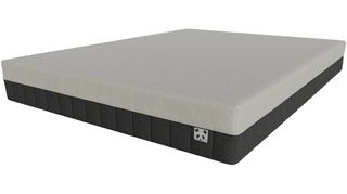 Panda Hybrid Mattress