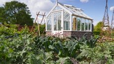 A vegetable garden surrounding a greenhouse