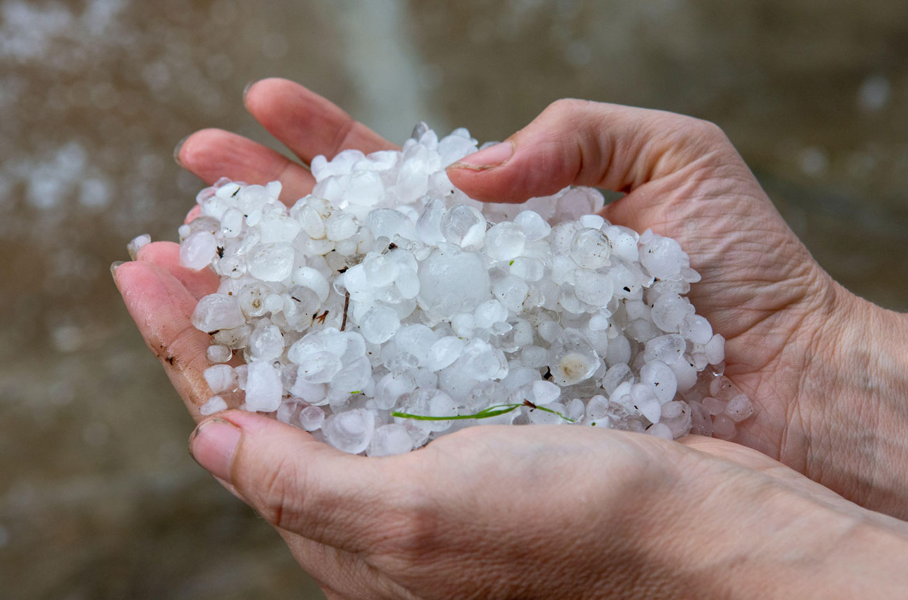 Hands encompassing hailstones