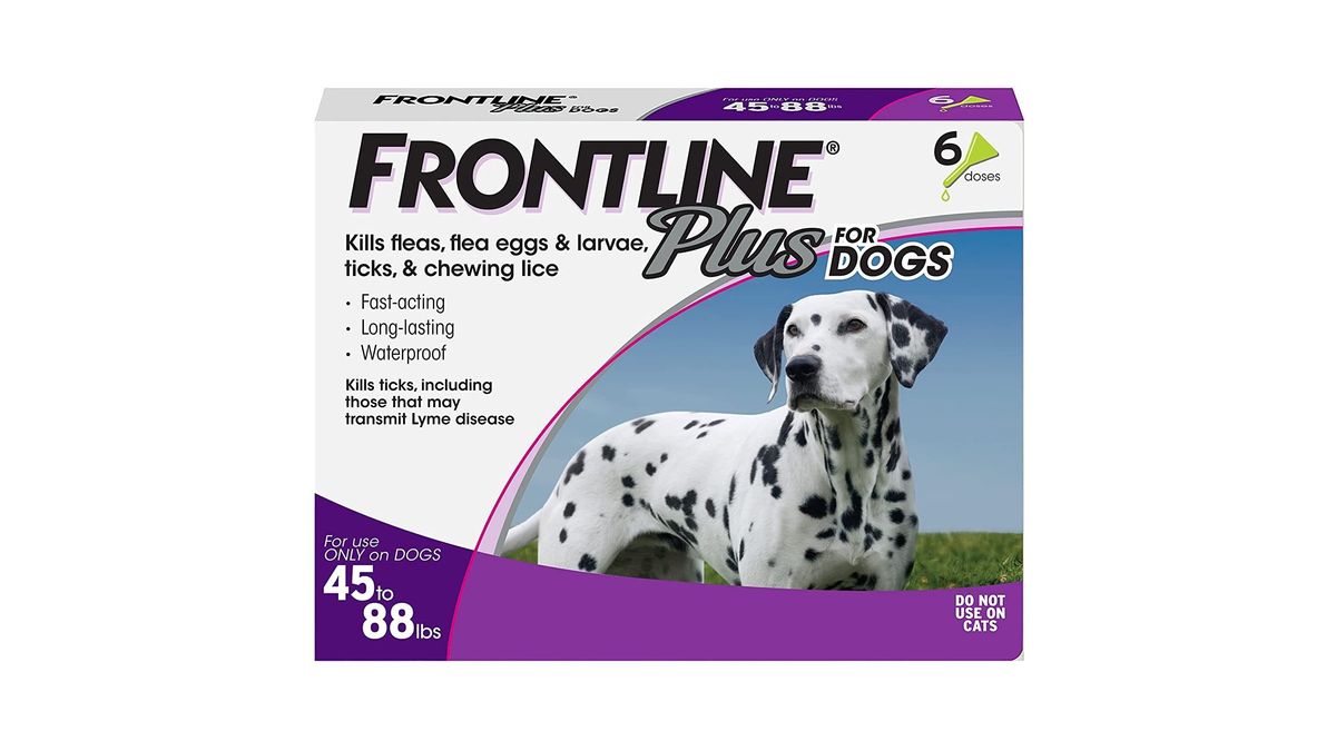 Best flea treatment for dogs 2024 to prevent and remedy PetsRadar