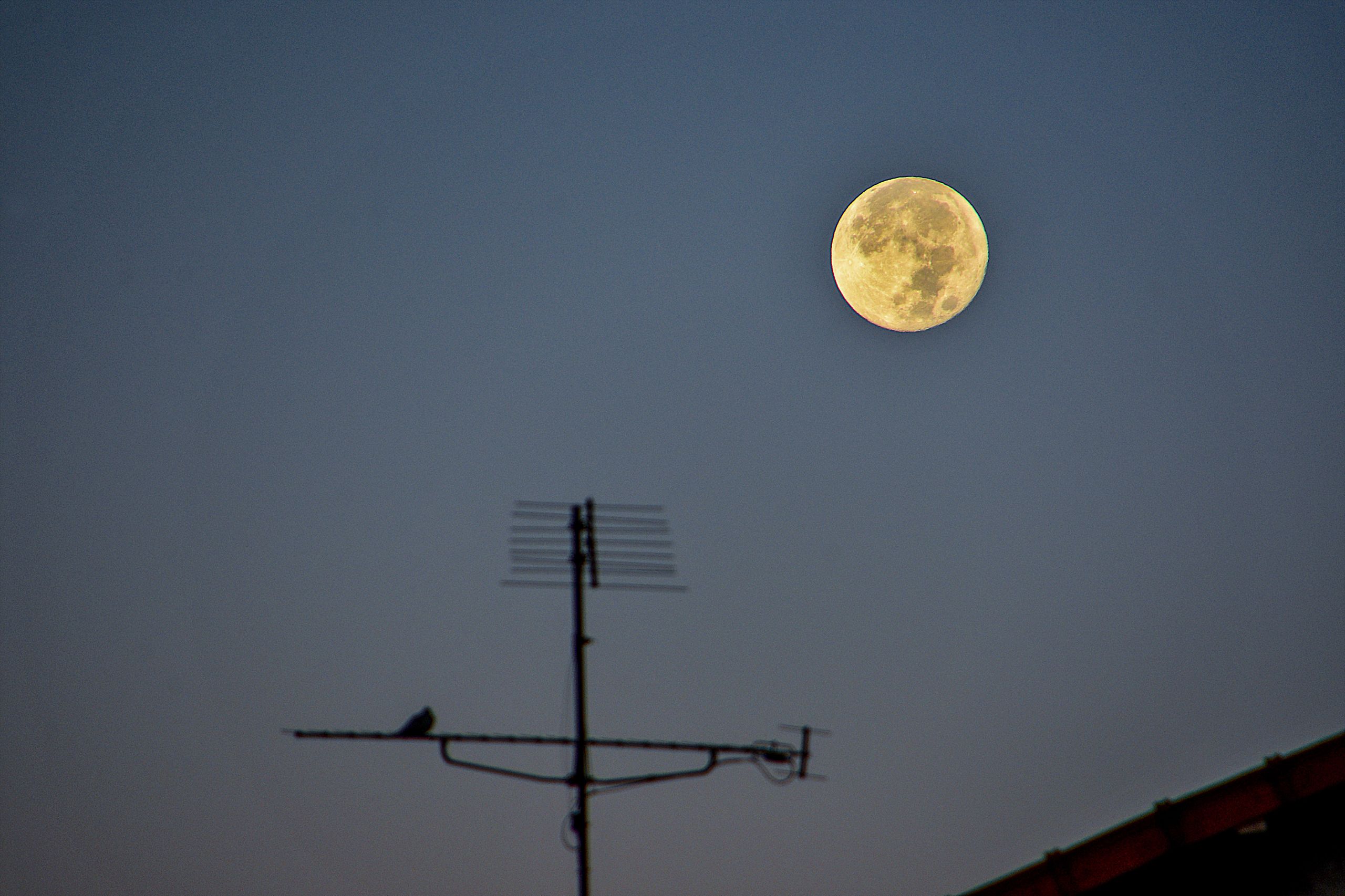 Harvest moon 2023, the last supermoon of the year, kicks off fall ...