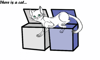 The famous Schrodinger's cat can be in two boxes at once, while being dead and alive at the same time. This cat can only be observed in its entirety by opening both boxes, but not one of the boxes.