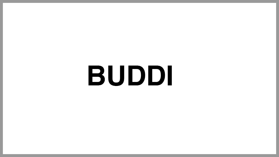 Buddi