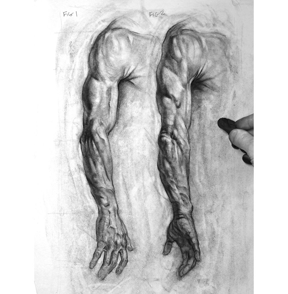 Side Arm Rdrawing How to draw an arm | Creative Bloq