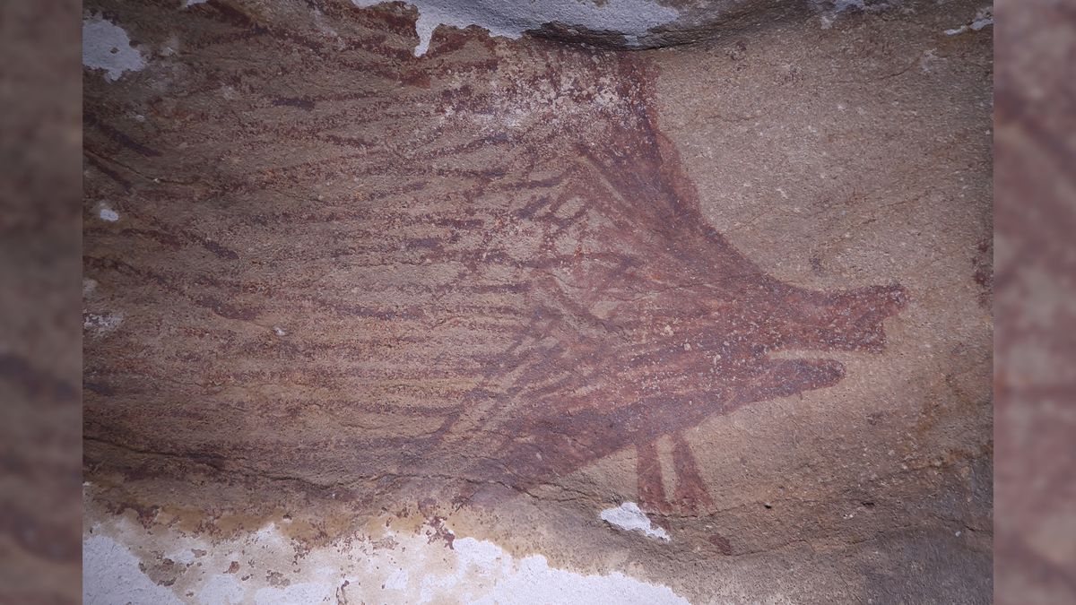 Warty pig is oldest animal cave art on record | Live Science