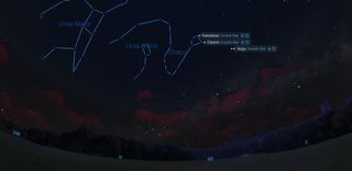 The constellation Draco is particularly bright this week.