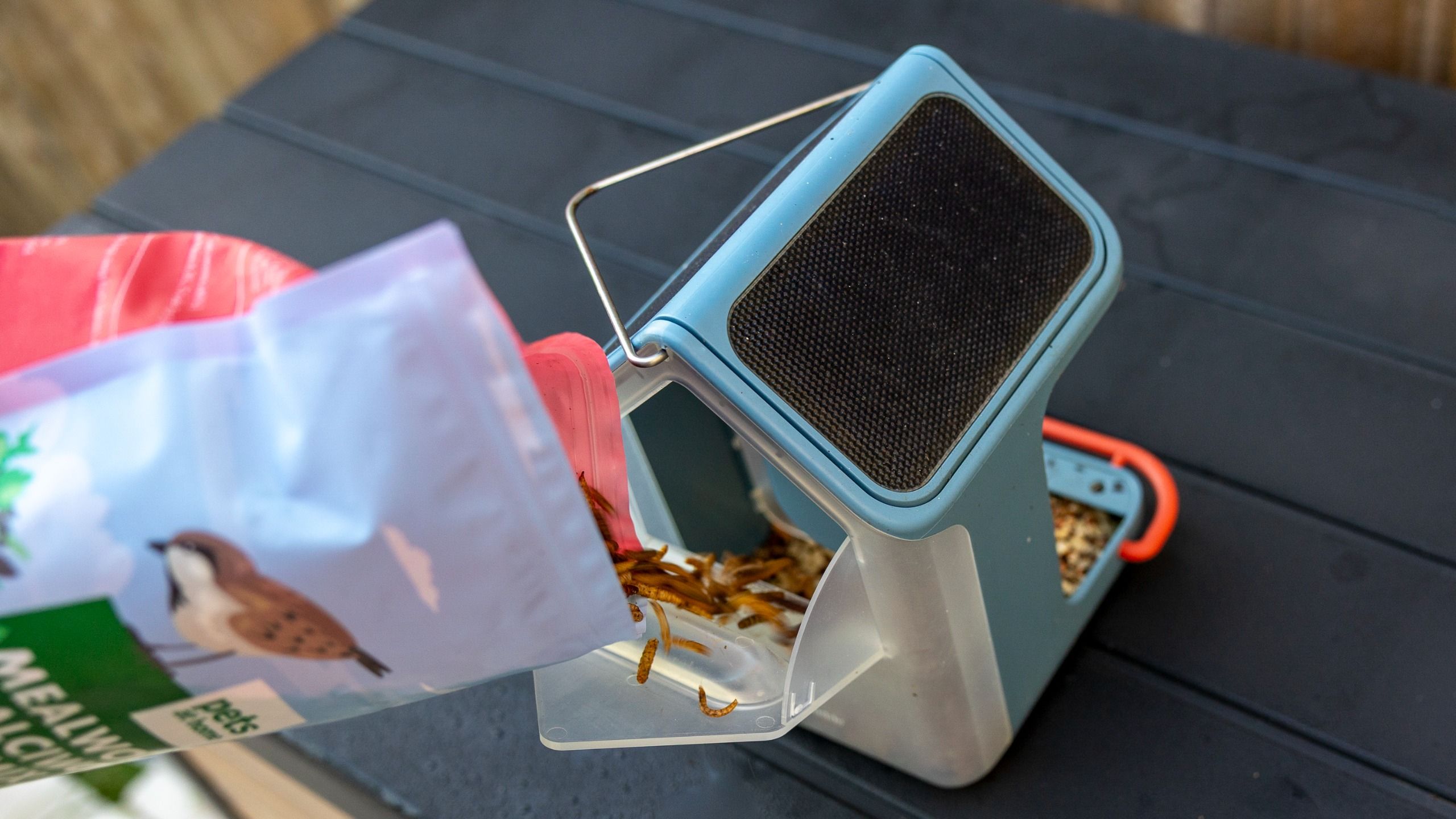 Refilling the Bird Buddy 2 with worms
