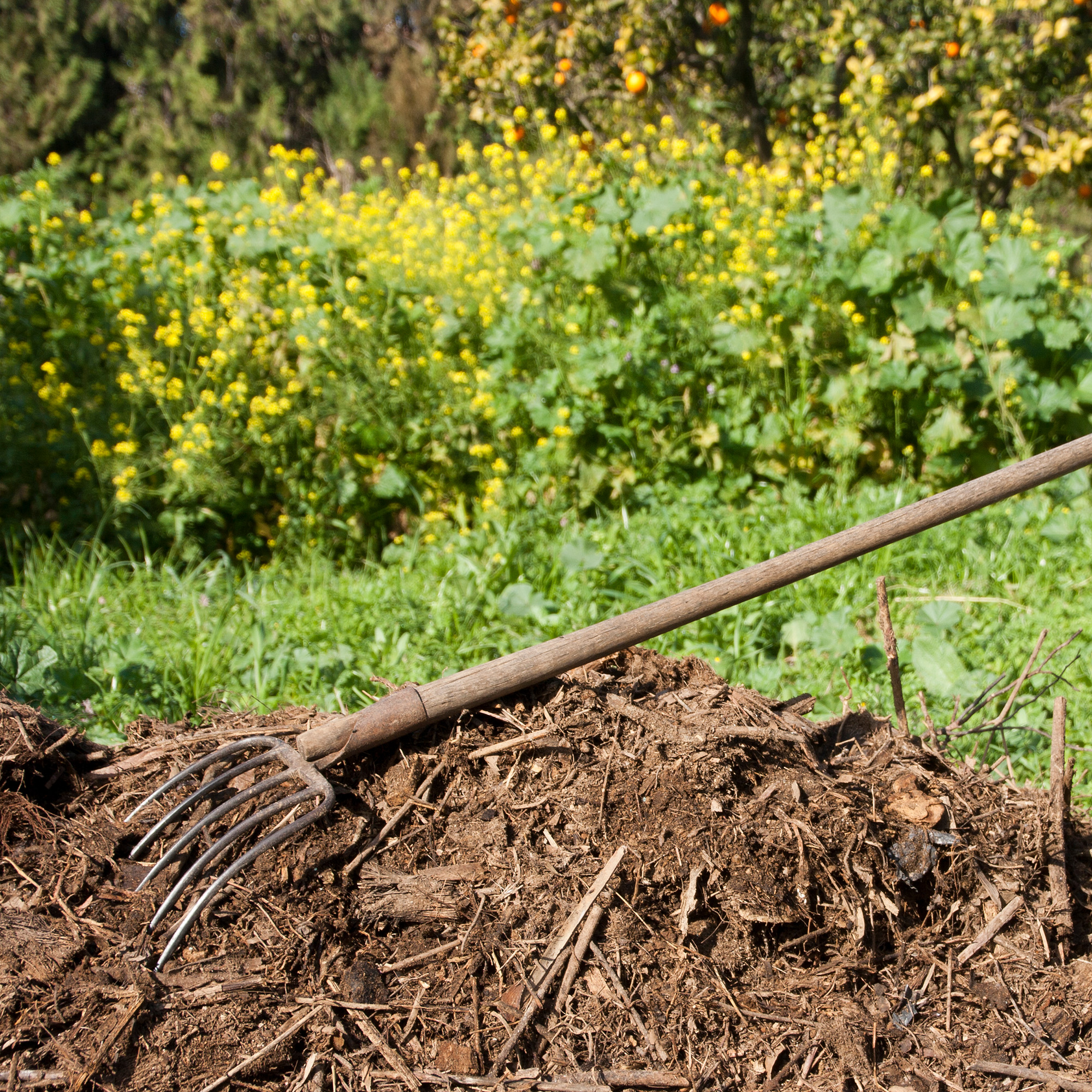 garden fork on top of mulch in garden