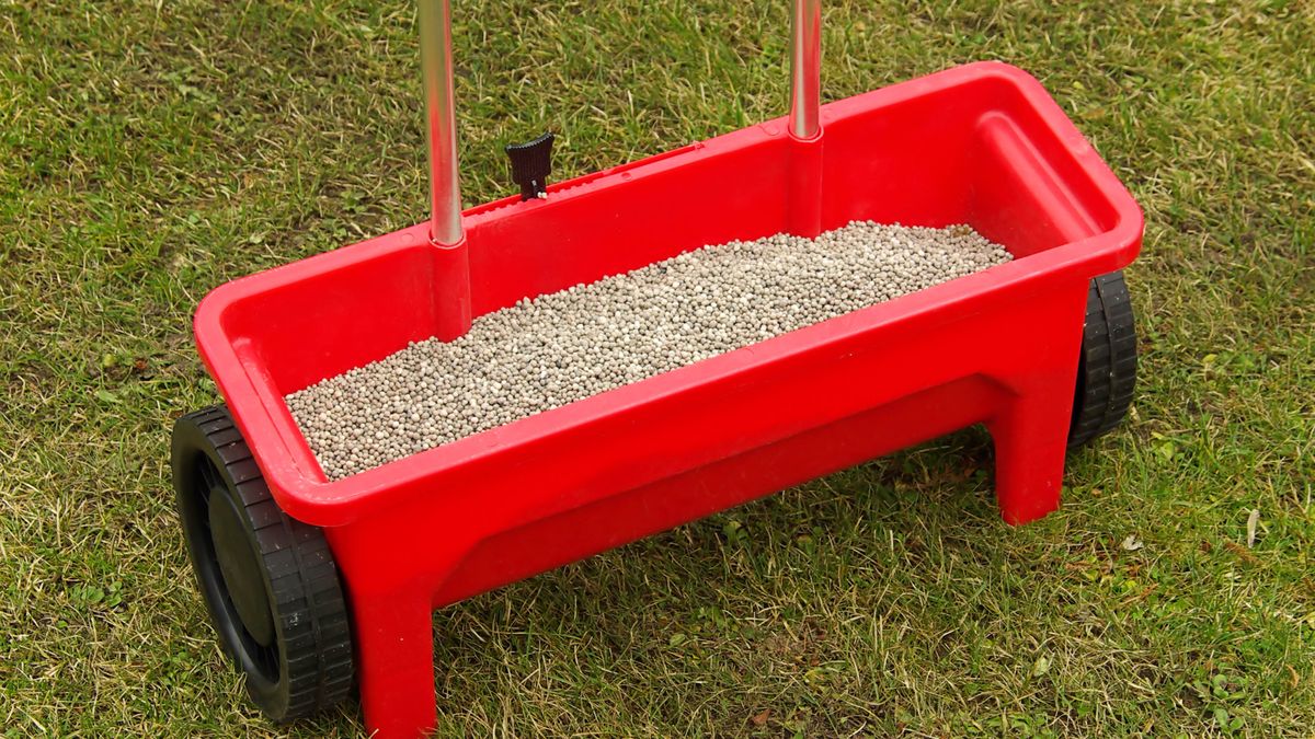 How to put lime on your lawn and when to do it Tom's Guide