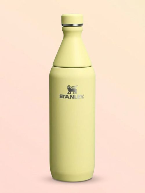 Stanley All Day Slim Bottle 20 Oz