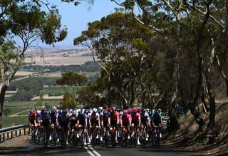 GC battle expected on Tour Down Under stage 3 - LIVE