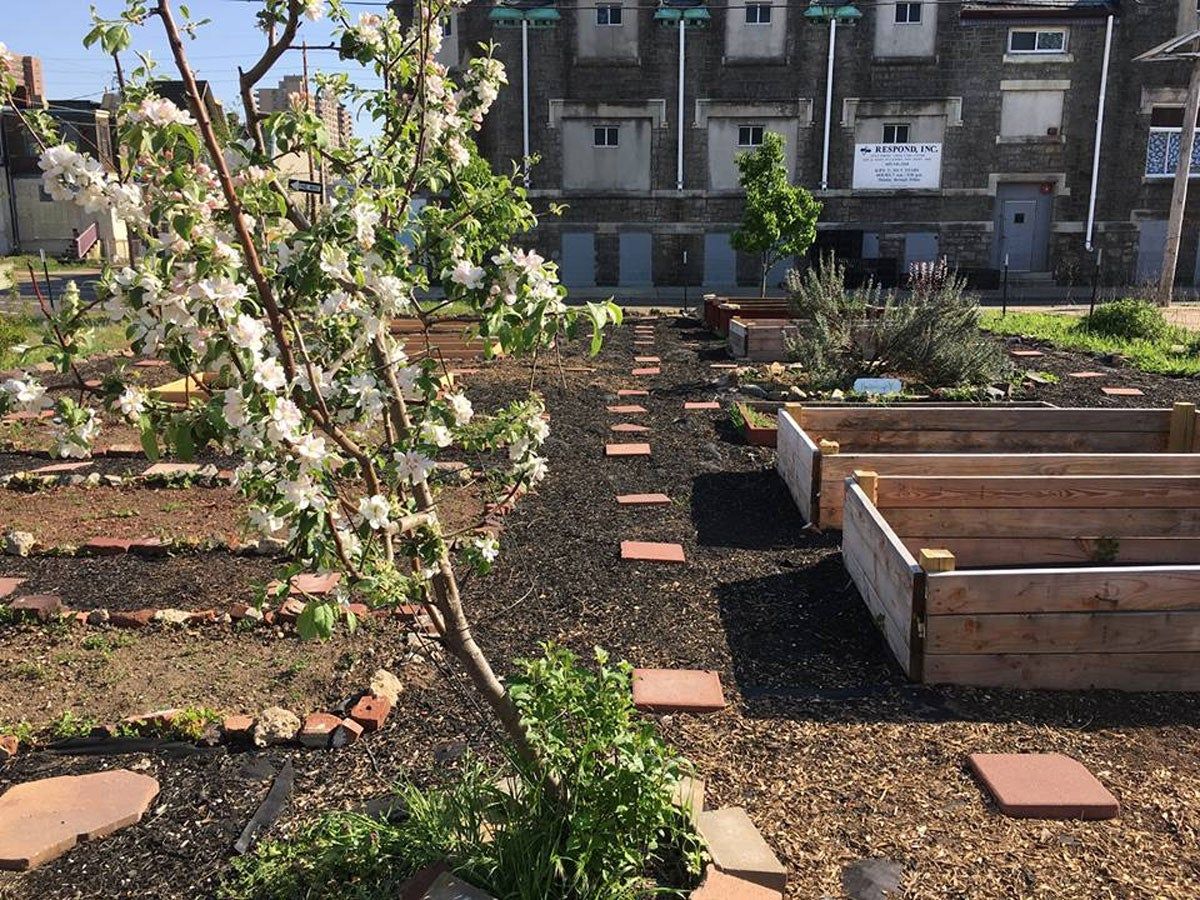 Raised beds wait for much needed soil.