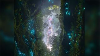 Cave lit up by glow worms below night sky.