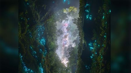 Cave lit up by glow worms below night sky.