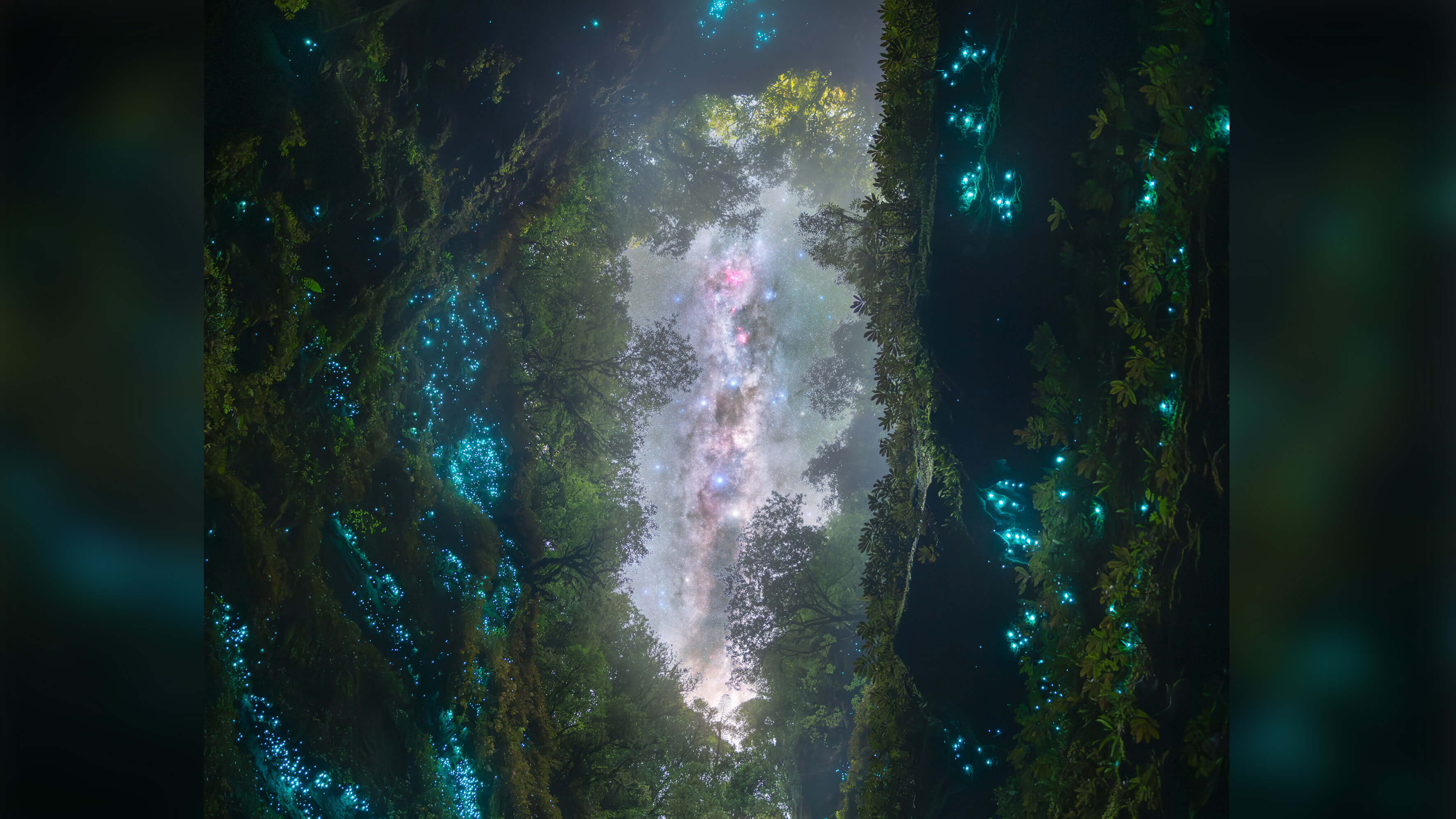 Cave lit up by glow worms below night sky.