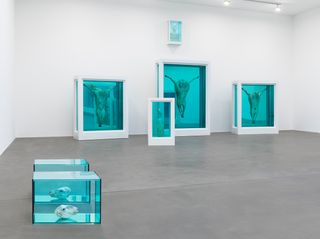 Damien Hirst: Natural History, installation view, 2022.