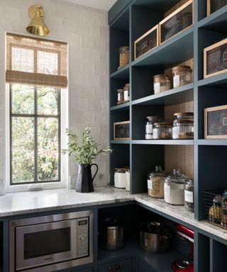 pantry with window and dark shelves