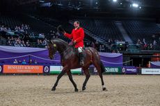 Robert Walker and View Point win the lightweight hunter of the year final at HOYS